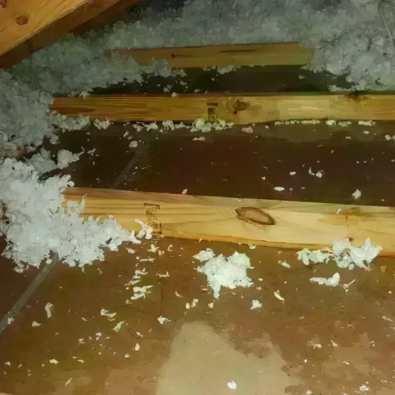 Attic Water Damage in Los Altos Hills, CA