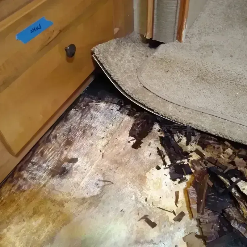 Best Wood Floor Water Damage Service in Los Altos Hills, CA